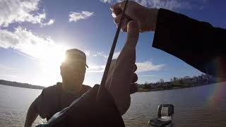 Fishing for Pre Spawn Big Bass on Lake Greenwood With Pete Hodges