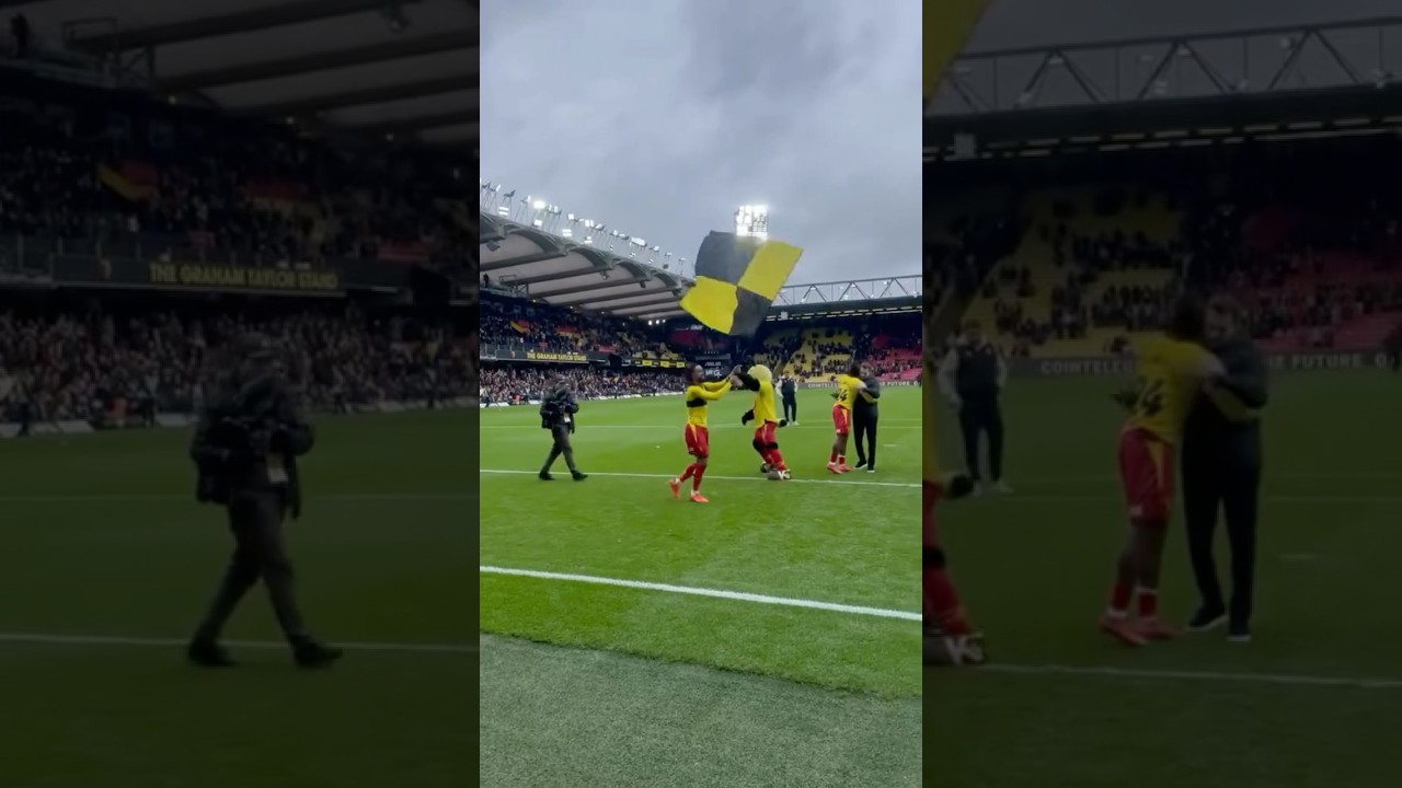 IMRAN LOUZA LOVES HIS FLAG! 😂