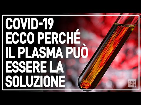 Vídeo: A terapia com plasma cura o covid 19?