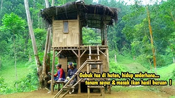 hidup sederhana di hutan: mencari ikan, menanam sayur, dan masak dengan cara tradisional