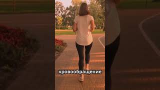 «Имбирный чай с чесноком и лимоном: натуральное средство для иммунитета»