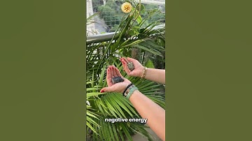 How to Feel the Energy of Crystals ✨ #shorts #healingcrystals #crystalenergy