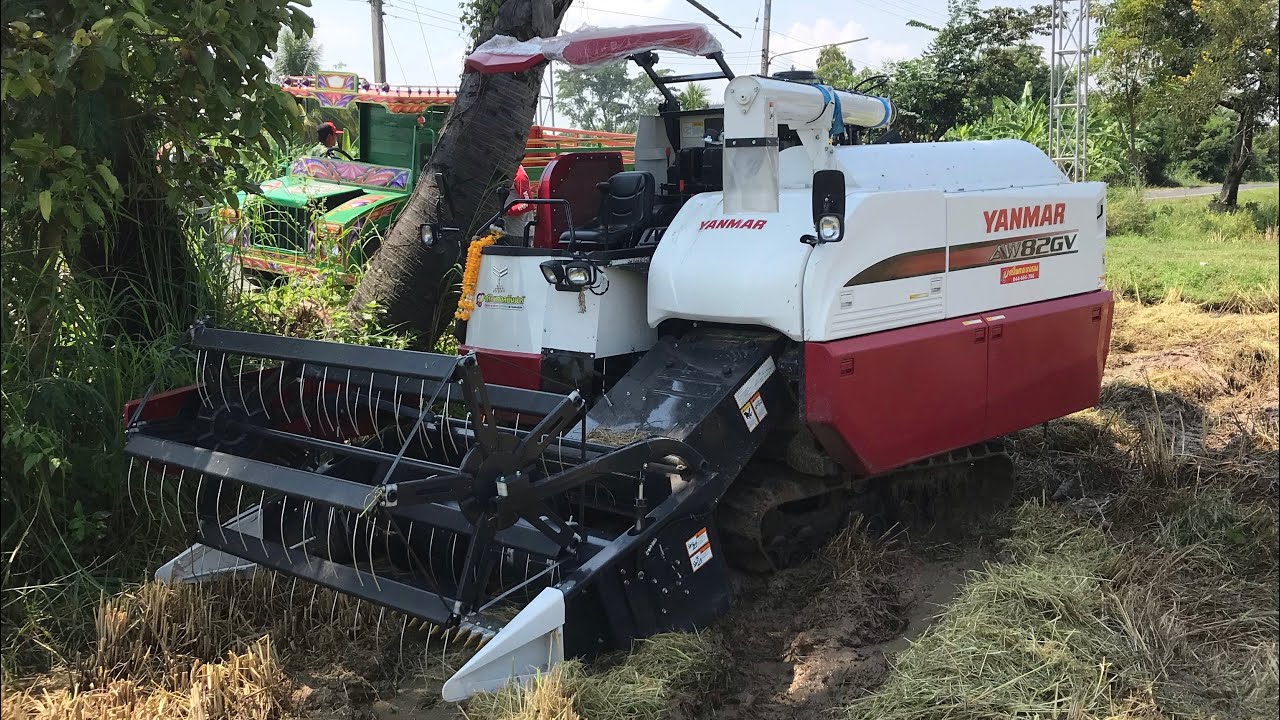 รถเกี่ยวยันมาร์ เกี่ยวไวงานดี เก็บเกี่ยวข้าวได้คุ้ม YANMAR AW 82GV Havester  | Che Chef