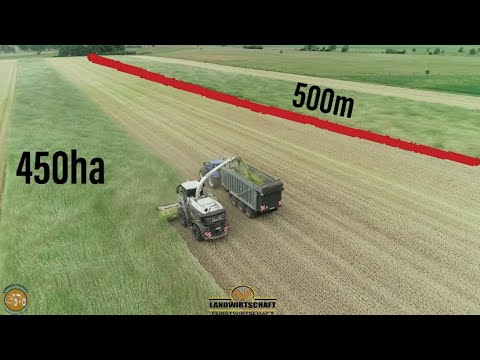 500m Länge & 450ha Ganpflanzensilage! (Roggen GPS) für die Biogas Gewinnung häckseln LU Dömling 2022