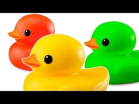 Patos de goma en la piscina con Colores para ninos con Canciones infantiles  con bano 