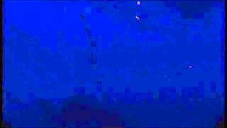 Cosmobox - Triplex TXC028