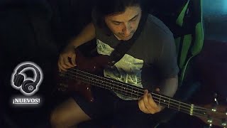 Primer DIRECTO del 2024 | BASS COVER rock, pop, reggae, funky