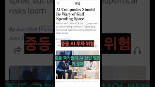 중동 AI 투자 위험