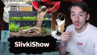 : MIFREX :      // SlivkiShow