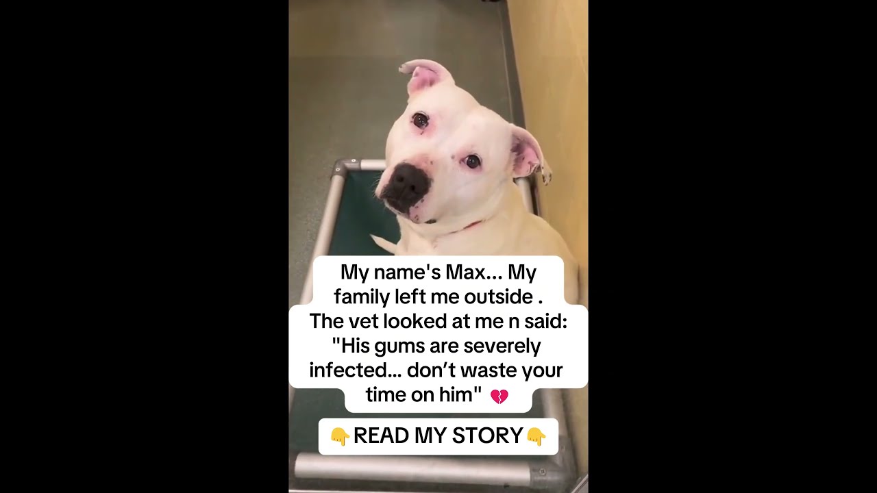 The Whole Story Is In Description 