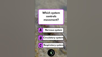 Which system controls movement? #quiz #fun #brainteaser #puzzle