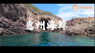[惠州 美食篇] 09 惠州 海鮮 | 美食| 海產| 美食街|#大灣區 #惠州 #風景 #美食