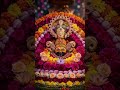 #Shyam Baba kahate Hain #jaishreeshyam #shortvideo