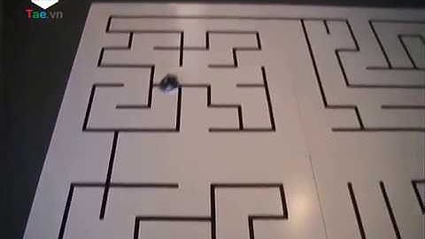 [TAE VietNam] Robot tìm đường trong mê cung