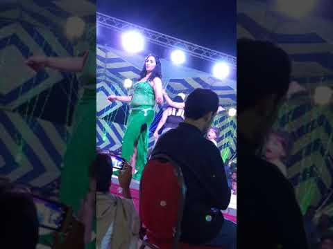 الفنان فتحي بو غريبيل حفله السويس