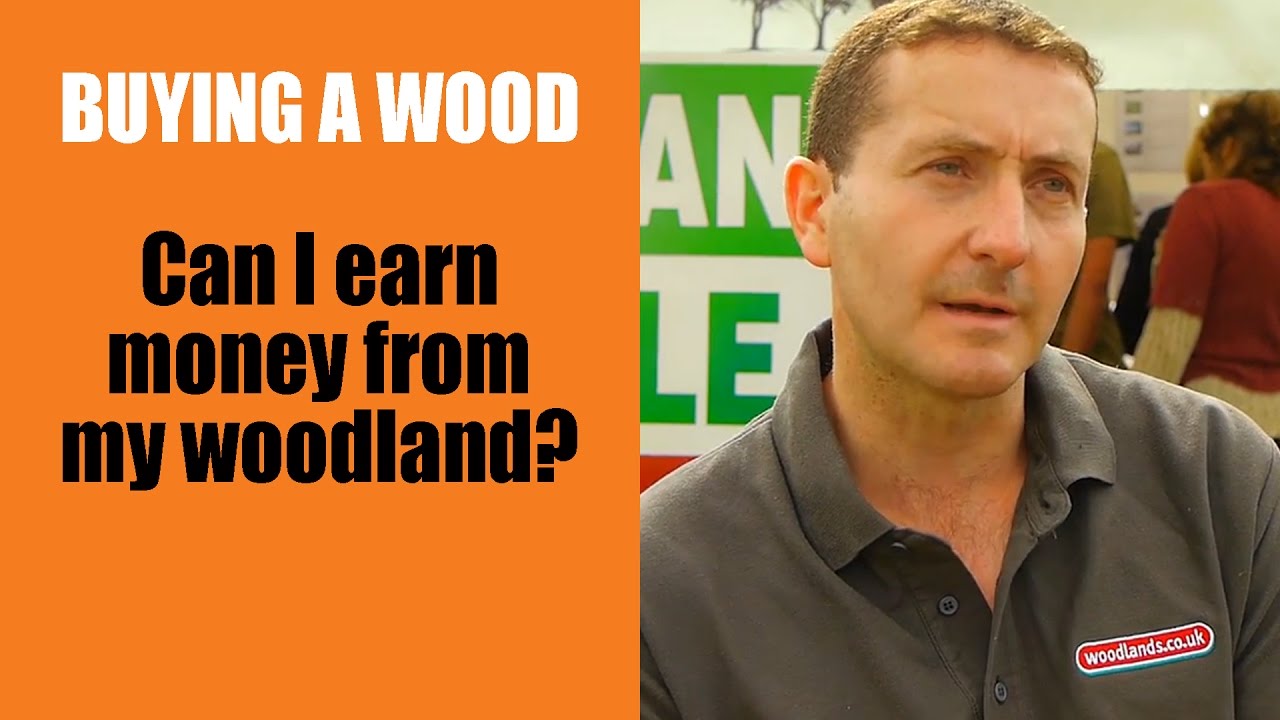 Buying a Wood: Can I earn money from my woodland? - YouTube