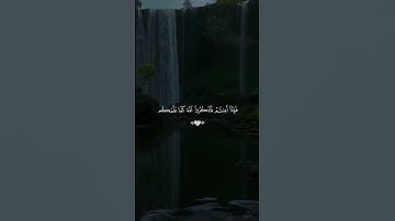🕊️🌿 #قران_كريم #quran #قرآن #تلاوه #المصحف #اكسبلور #تلاوة_خاشعة
