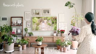 SUB) 아파트 플랜테리어 추천 식물 25가지 구경하기🌱 식물을 예쁘게 잘 키우는 식집사 노하우 Relaxing Plant Tour My houseplant collection