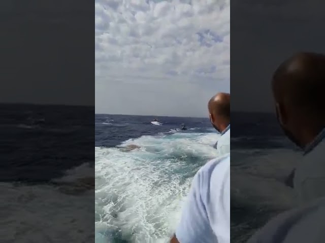 Loading video