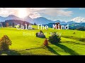 Relaxing music for seclusion and peace of mind stop anxiety  soothing relaxation for deep sleep