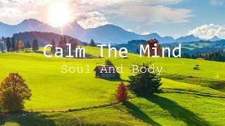 Relaxing Music For Seclusion And Peace Of Mind Stop Anxiety Soothing Relaxation For Deep Sleep