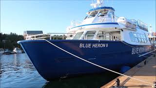 Bens Tours Flowerpot Island