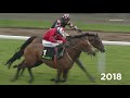 The New One: The Champion Hurdle Trial