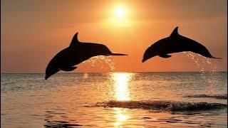 Farruko feat. Shaggy & Nicky Jam   