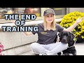 Guide Dog Training on Escalators, Food Refusal, & More!