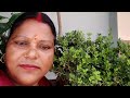 Sarita sinha patna is live sabhi YouTube family kya hamare life mein swagat hai 🙏🙏🙏🙏🙏🙏
