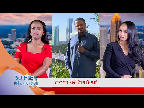 /የውሸት ዜና/(ፌክ ኒውስ)/"አይጦች አዲስ አበባን አጥለቅልቀዋታል፣እሳት እየዘነበ ነው"// በእሁድን በኢቢኤስ /