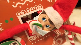 Crazy elf on the shelf puts a candy cane in his mask!