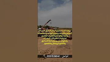 نخل للبيع عربي مثمر ووشنطني زينه جميع المقسات متوفره والكميات توصيل اكسبلور Funny الرياض جدة نخل 