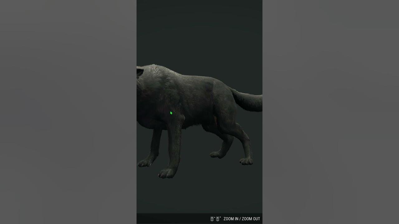 theHunter: Call Of The Wild - Iberian wolf (Sombra) "Cuatro Colinas