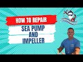 R & R Sea pump & Impeller on Bravo 3 MerCruiser