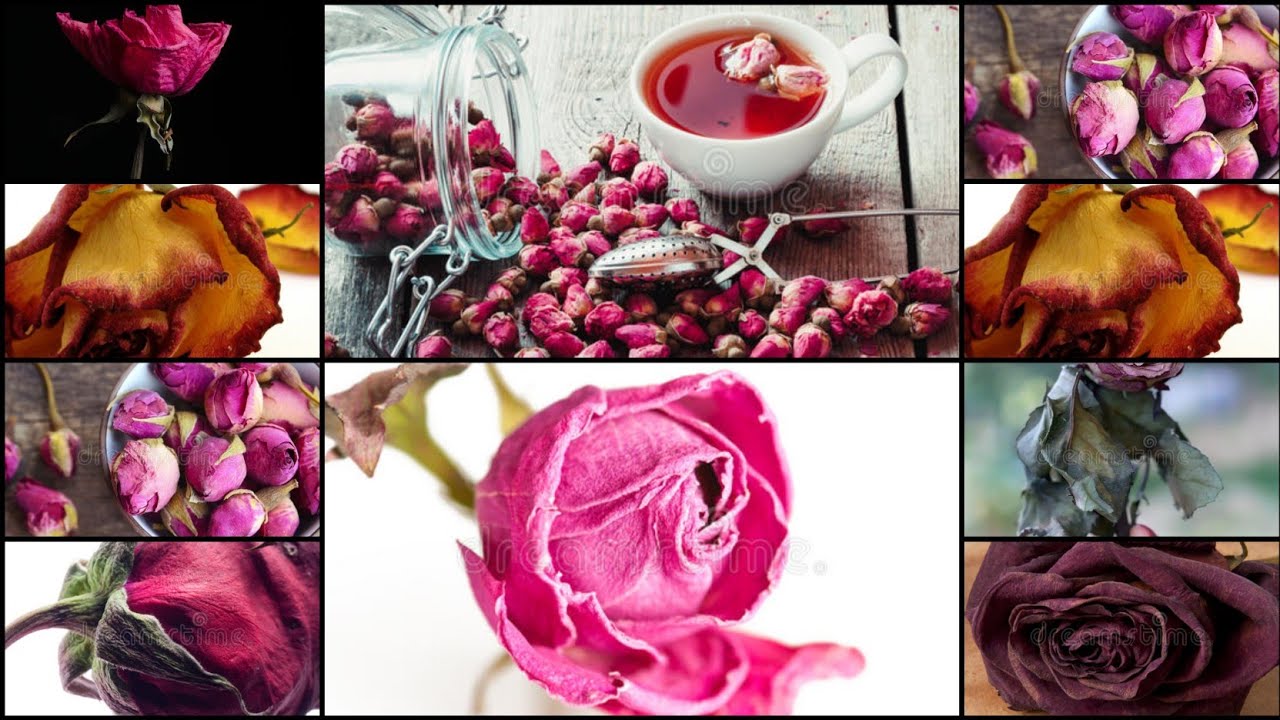 dry roses dry rose petals uses! interior decoration with dry roses!how to make dry roses - YouTube