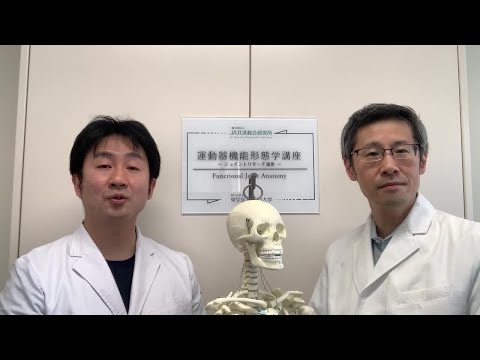 Video: In syndesmoses zijn botten uitsluitend verbonden door?