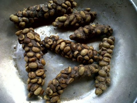 Video: Kaip Gaminama „Kopi Luwak“kava