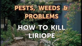 How to Kill Liriope