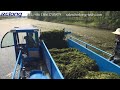 Rcolteuse de mauvaises herbes aquatiques tonte du lac et gestion de leau