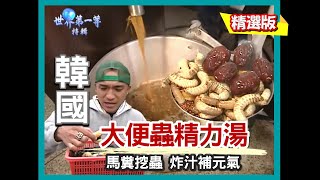 【韓國】大便蟲補陽精力湯（濟州島五日市集找尋大便蟲 ... 