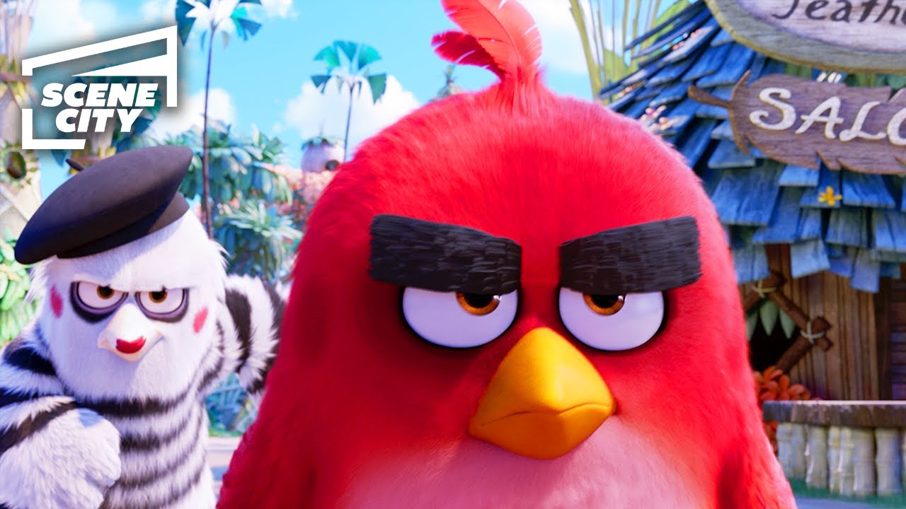 Red Vs. The Angry Bird Sign | The Angry Birds Movie | CineClips