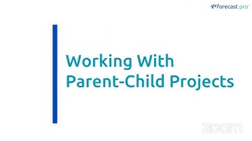 Succeeding with Forecast Pro: Project Collaboration