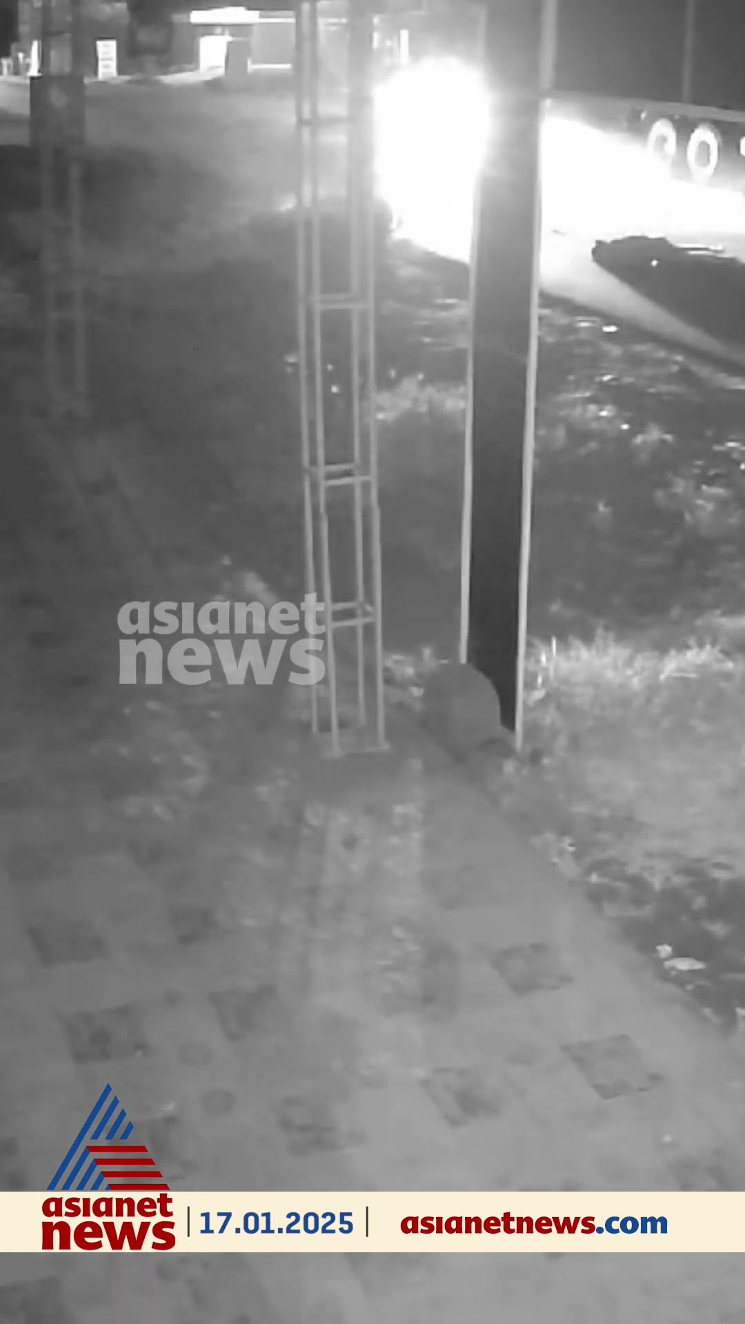 പട്ടാമ്പിയിൽ ബൈക്കിന് കുറുകെ പന്നി ചാടി ഉണ്ടായ അപകടത്തിൽ പരിക്കേറ്റ യുവാവ് മരിച്ചു; അപകട ദൃശ്യം