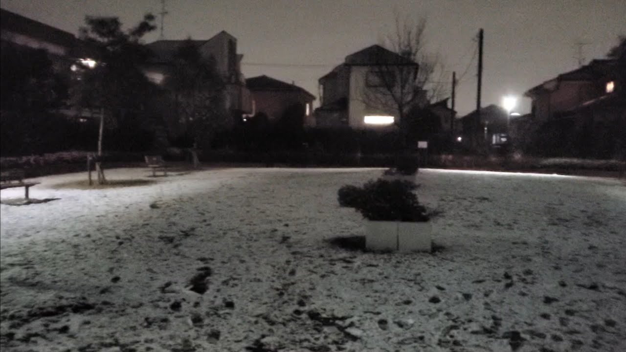 21年1月28日 足立区某所公園に雪が降り積もる 天気予報大外れ Youtube