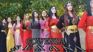 Gowenda şéxani ( şéxani halayı ) 30.09.2021 sinan ve eylem düğünü uludere andaç düğünleri