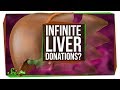 Can You Keep Donating and Regrowing Your Liver?