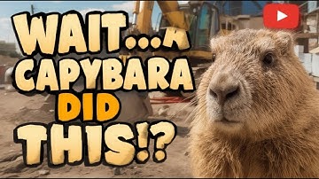 Wait… A Capybara Did THIS!? | Hard Hat Adventure at Mega Projects 🚧🏗️