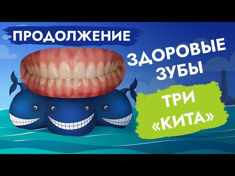 Видео: Как сохранить зубы хомяка здоровыми