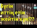 Кәрістер шынымен иттерді жейді ма? | Корей халқының иттің етін жеу дәстүрі